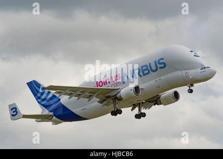 The Airbus A300-600ST (Super Transporter) or Beluga, is a version of the standard A300-600 wide-body airliner modified to carry Stock Photo
