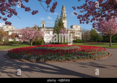 Cardiff City Hall and clock tower from Alexandra Gardens. Stock Photo