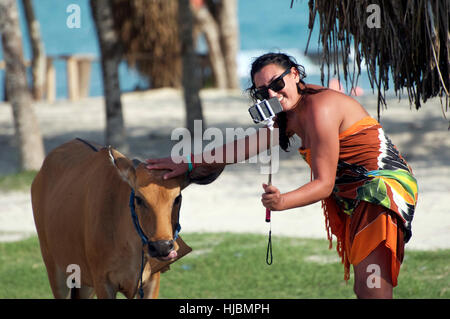 Western Young Woman Takes Selfie from Light Brown Cow using Mobile iPhone & Selfie Stick near Sunny Beach with Green Grass Stock Photo