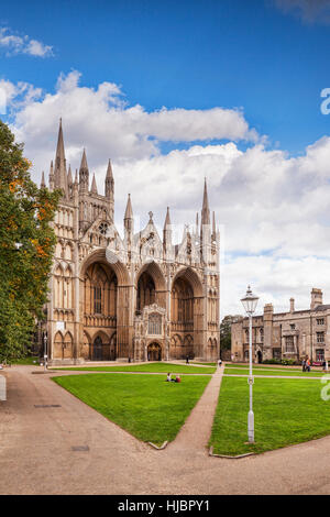 Peterborough Cathedral, Peterborough England UK Stock Photo - Alamy