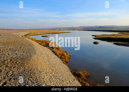 cley nature reserve, north norfolk, england Stock Photo