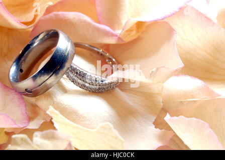 Wedding rings on petals Stock Photo