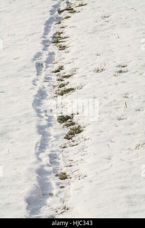 Human footprint path in white deep snow leading to small old wooden ...