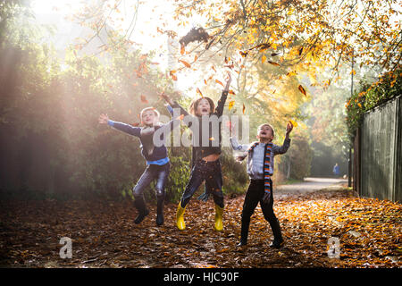 Three young boys, playing outdoors, throwing autumn leaves Stock Photo
