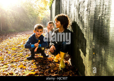 Three young boys, sitting against fence, surrounded by autumn leaves Stock Photo