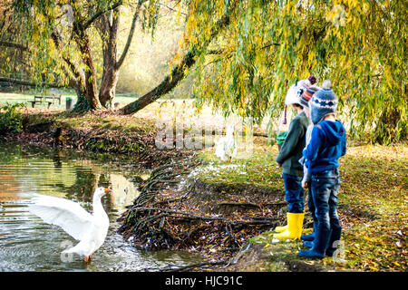 Three young boys, standing beside lake, watching goose in water Stock Photo