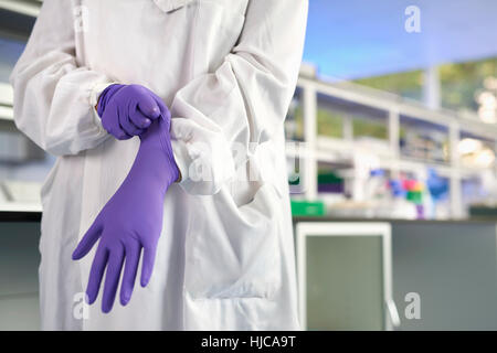 Cropped view of scientist in laboratory putting on latex gloves Stock Photo
