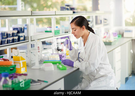 Scientist in laboratory doing experiment Stock Photo