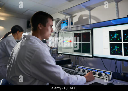 Scientists in laboratory using computer Stock Photo