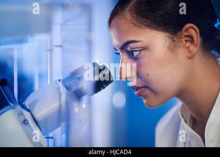 Scientist in laboratory looking through microscope Stock Photo
