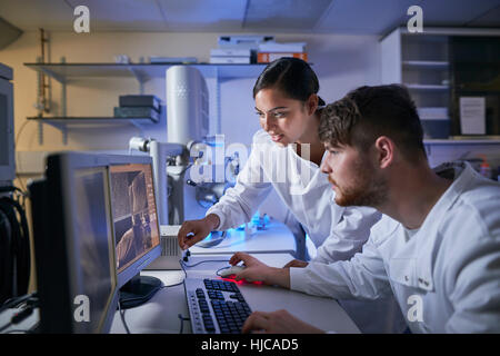 Scientists in laboratory using computer Stock Photo
