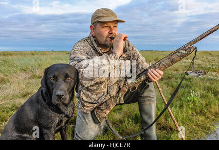 A wildfowler, or duck hunter, with his dog on the Lincolnshire marsh blowing into a duck call Stock Photo