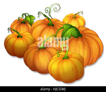 orange, food, aliment, health, isolated, graphic, leaves, vines, illustration, Stock Photo