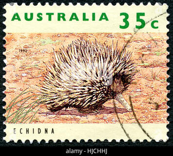 AUSTRALIA - CIRCA 1992: A used postage stamp from Australia, depicting an image of an Ehidna, circa 1992. Stock Photo