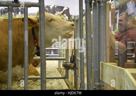 Berlin, Germany. 23th Jan, 2017 - The International Green Week 2017 underway in Berlin Credit: Markku Rainer Peltonen/Alamy Live News Stock Photo