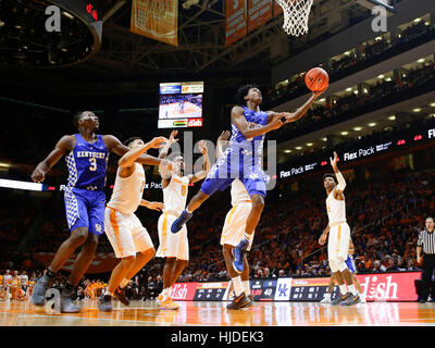 Knoxville, TN, USA. 23rd Feb, 2016. Kentucky Wildcats guard De'Aaron Fox (0) cut inside for a basket as Tennessee defeated #6 Kentucky 82-80 on Tuesday January 24, 2017 in Knoxville, TN. Credit: Lexington Herald-Leader/ZUMA Wire/Alamy Live News Stock Photo