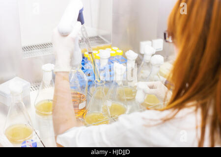 Life scientist researching in the laboratory. Stock Photo