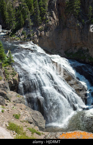Gibbon Falls, Yellowstone National Park, Wyoming, USA Stock Photo