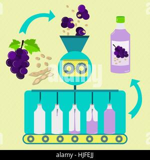 Grape and soy juice series production. Fresh grapes and soybean pod with soy being processed. Bottled grape and soy juice. Stock Vector