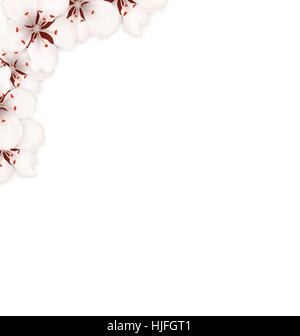 Border Made in Sakura Flowers Blossom Stock Vector