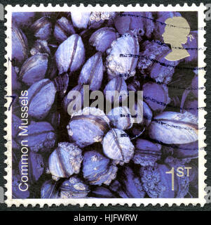 GREAT BRITAIN - CIRCA 2007: A used postage stamp from the UK, depicting an image of Common Mussels, circa 2007. Stock Photo