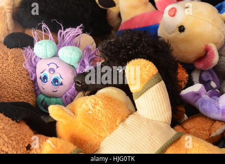 cute black poodle hiden on pile of toys Stock Photo