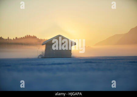 Small cabin, winter landscape, hay barn in fog at dusk, Kramsach, Tyrol, Austria Stock Photo