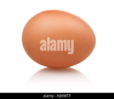 Single brown egg isolated on white Stock Photo