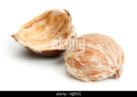 Chestnuts isolated on white background Stock Photo