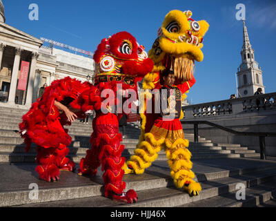 Lion Dancers from Chinatown perform on the steps of Trafalgar Square in front of the National Gallery ahead of this weekend's 'Year of the Rooster' Chinese New Year celebrations in London, UK. Stock Photo