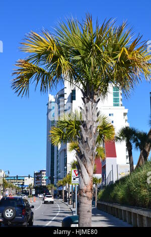 boardwalk at beach Stock Photo