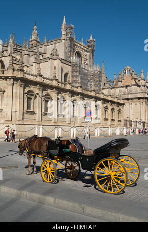 Horse and carriage, Seville, Spain Stock Photo