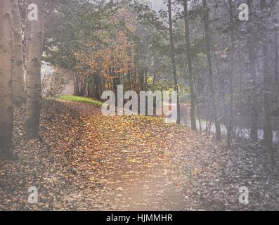 misty autumn woods with dirt path covered in leaves Stock Photo