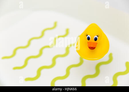 bath time - yellow rubber duck in water Stock Photo