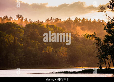 Mist rises in a forest along a lake after heavy rainstorm passes through.  Late afternoon sun breaks through under clouds & creates dramatic color. Stock Photo