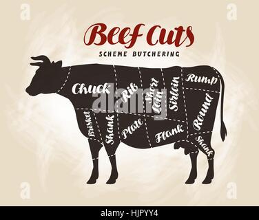 Beef cuts, diagram. Vector illustration for design menu restaurant or diner Stock Vector