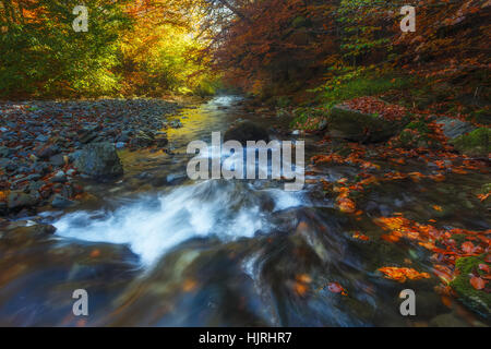 Irati river in Irati forest natural park Stock Photo