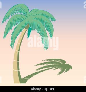 Vector illustration of the palm tree. Bright summer solar background and shadow from a palm tree Stock Vector