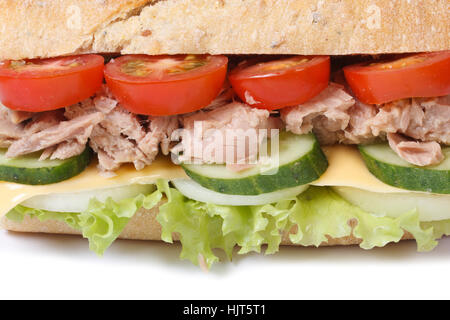 tuna sandwich with vegetables and cheese isolated on white background macro Stock Photo