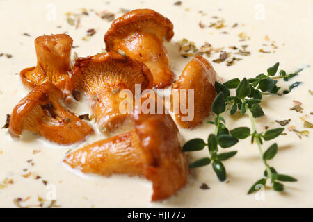 background of cream soup with mushrooms chanterelles and thyme macro horizontal Stock Photo