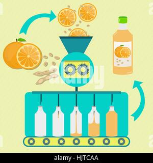 Orange and soy juice series production. Fresh oranges and soybean pod with soy being processed. Bottled orange and soy juice. Stock Vector