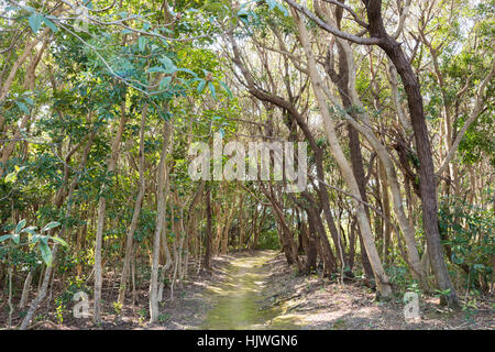 Masakijima, Shima City, Mie Prefecture,Japan Stock Photo