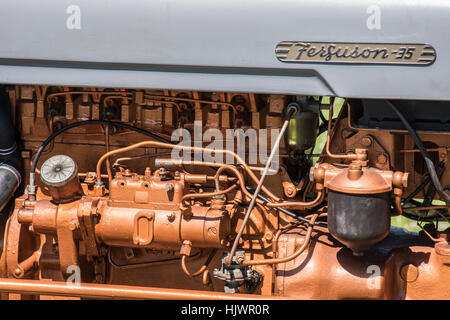 Engine detail, Ferguson 35 tractor Stock Photo