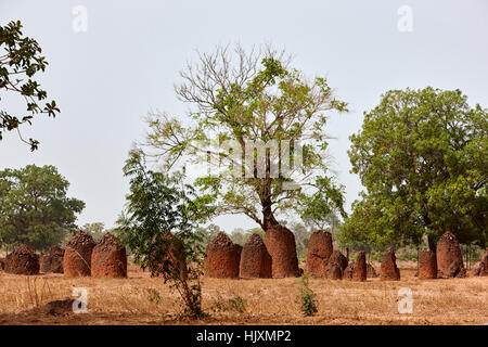 Wassu Stone Circles, UNESCO World Heritage Site, the Gambia, Africa