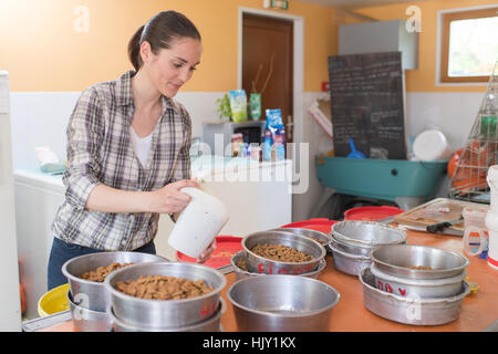 pretty woman preparing bowls of dog food at animal shelter Stock Photo