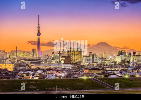 Tokyo, Japan skyline with Mt. Fuji and the Skytree Tower. Stock Photo