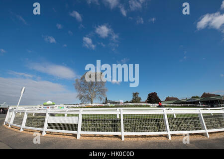 Parade ring at Hereford racecourse Stock Photo