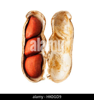 A monkey nut on a white background Stock Photo