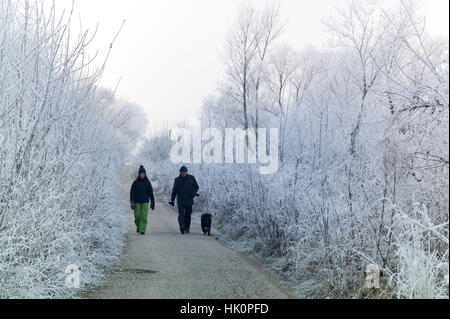 Walkers in Berek woodlands in sub zero temperature and hoar frost. Nove Zamky Slovakia.  Jan 2017 Stock Photo