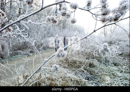 Walkers in Berek woodlands in sub zero temperature and hoar frost. Nove Zamky Slovakia.  Jan 2017 Stock Photo